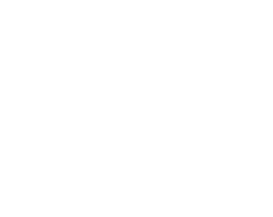 Skipper